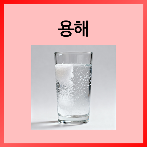 [초등화학]용해