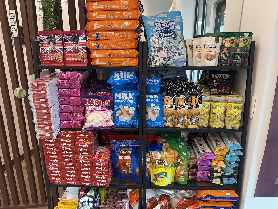 짝짝쓰 사진 3