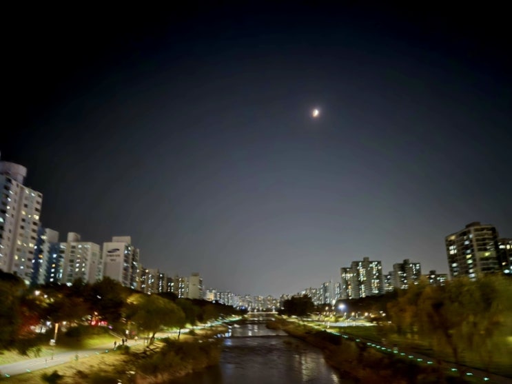  10월 탄천 산책