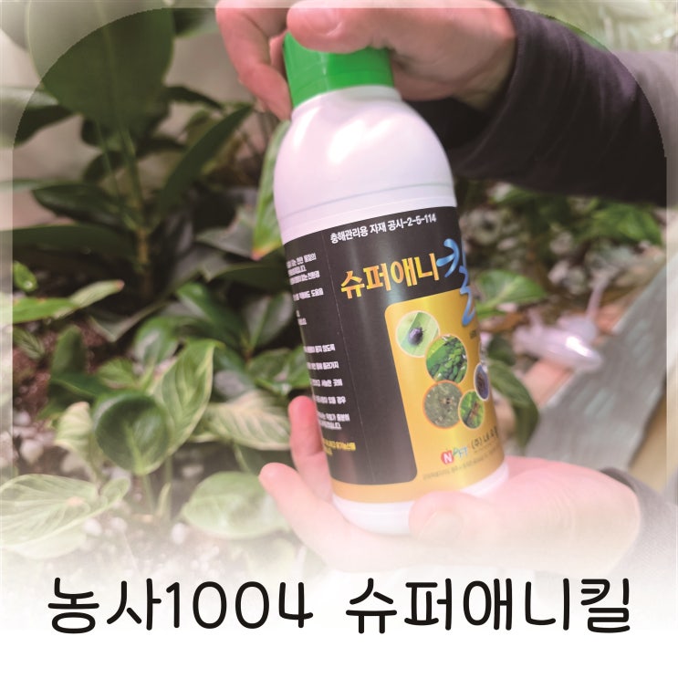  유기농비료 효과까지 있는 친환경 해충퇴치제 농사1004 슈퍼애니킬