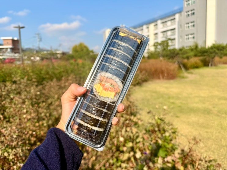  홍대 김밥 김가네 동교동삼거리점 혼밥 맛집 도시락 김밥 포장 추천