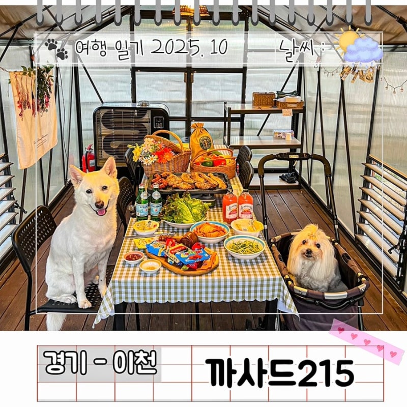 사진 3