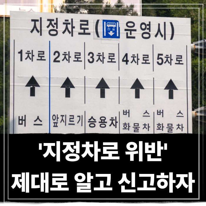  지정차로 위반 뜻 제대로 알고 신고하는법, 벌점 및 벌금 한눈에 정리