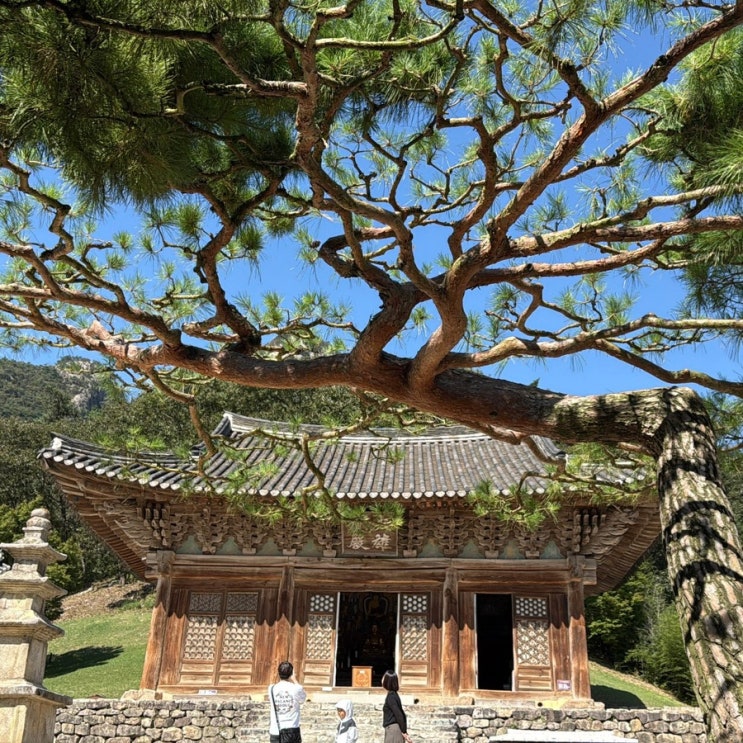  [부안] 내소사 | 부안 가을 여행