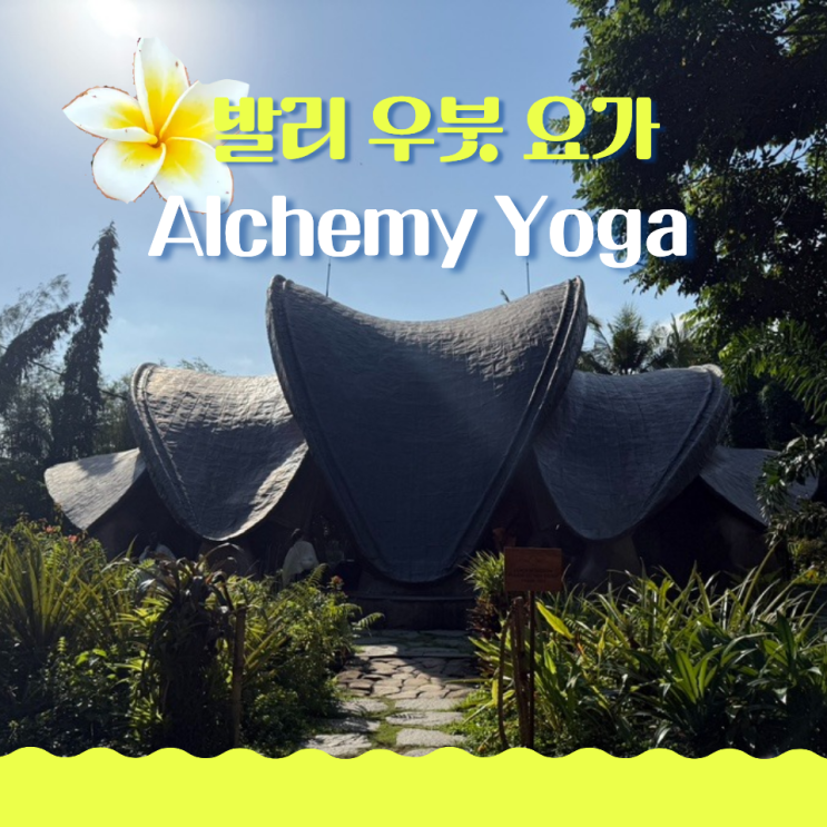  발리 우붓 요가 추천 알케미 요가 시간표 가격