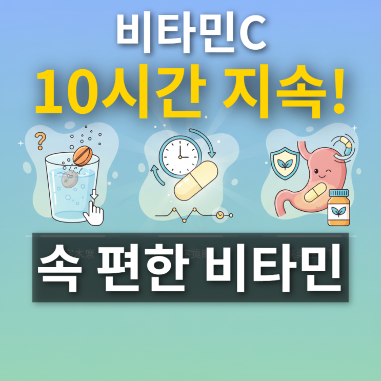  속편한비타민 비교 분석: 일반 비타민C vs 얼라이브 지속성 비타민C, 효과 차이는?