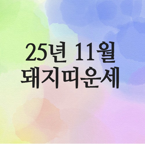  2025년 11월 돼지띠 운세 (59년 · 71년 · 83년 · 95년)
