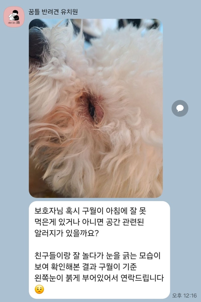 사진 5