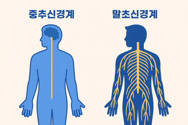 평촌동 범계역 신경외과 통증의학과: 손발 저림과 통증, 말초신경염일수도! 원인과 치료법