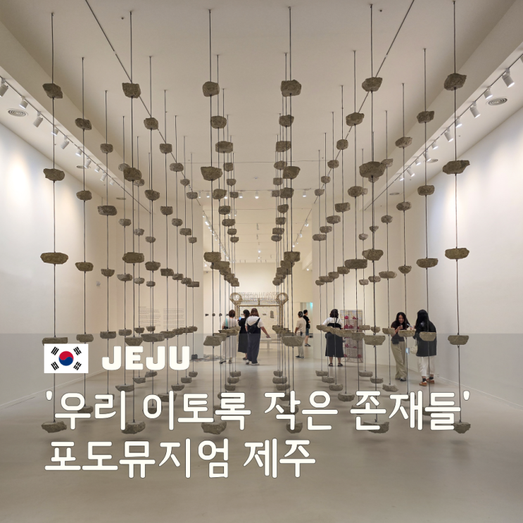  포도뮤지엄 전시 후기와 할인 정보 제주 비오는날 가볼만한 곳 미술관 여행