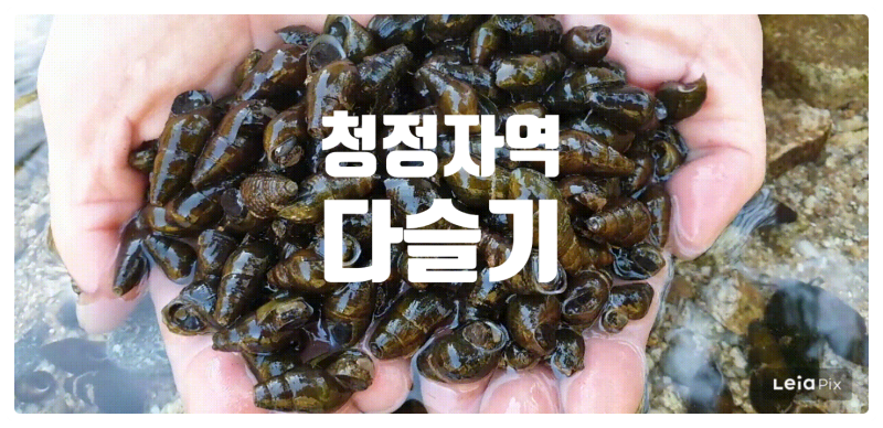 다슬기즙, 다슬기효능, 다슬기액기스,다슬기기름, 간 건강 효능까지: 구매 전 300만 구독자가....
