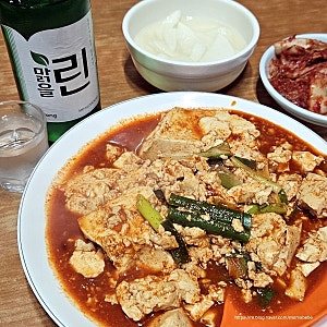 대전 중앙로역 맛집 | 두부 두루치기 노포 진로집 혼밥 혼술 후기 (맵기 추천)