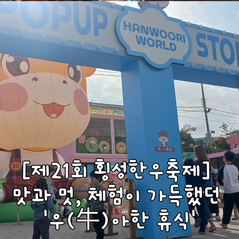 강원도 가을 낮에 알차게 즐긴  21회 횡성한우축제 후기