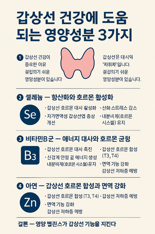   갑상선 건강에 도움 되는 영양성분 3가지