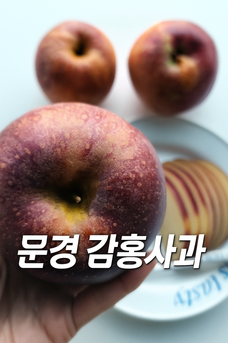 감홍사과 뜻·특징·수확시기 | 못난이사과, 문경감홍사과 이야기