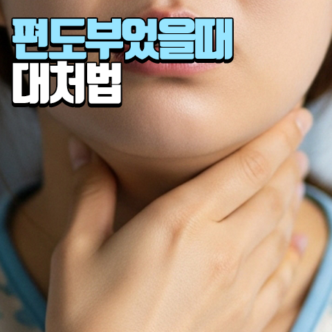 편도 부었을때 증상부터 약, 찬물 관리법