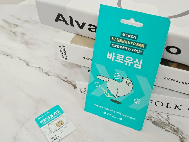  KT 번호이동 기기변경 없이 유심만 교체하면 끝