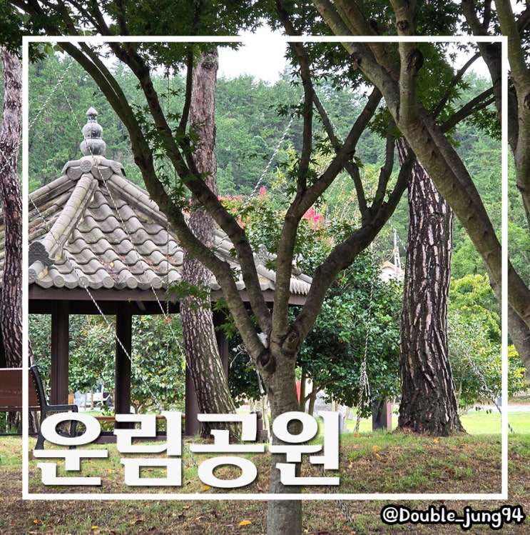  전남 진도 시원한 가을 산책하기 좋은 캠핑장 옆 운림공원