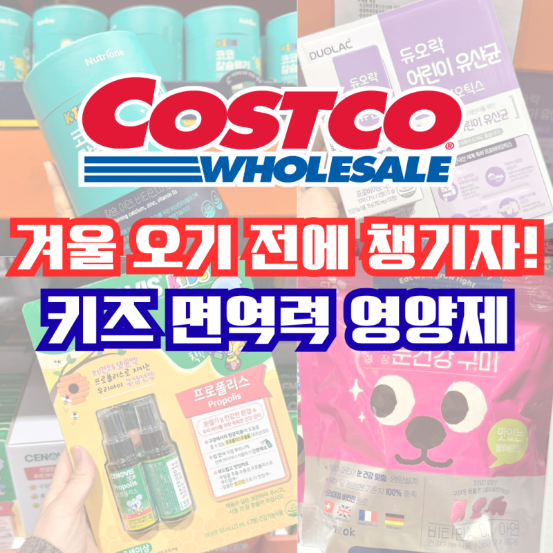 코스트코 어린이 유산균, 영양제 종류 및 추천