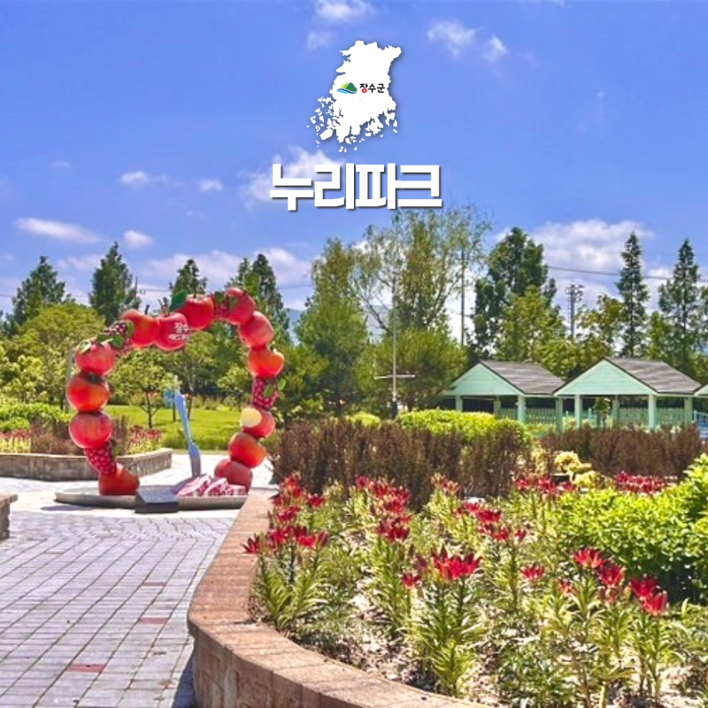 사진 4
