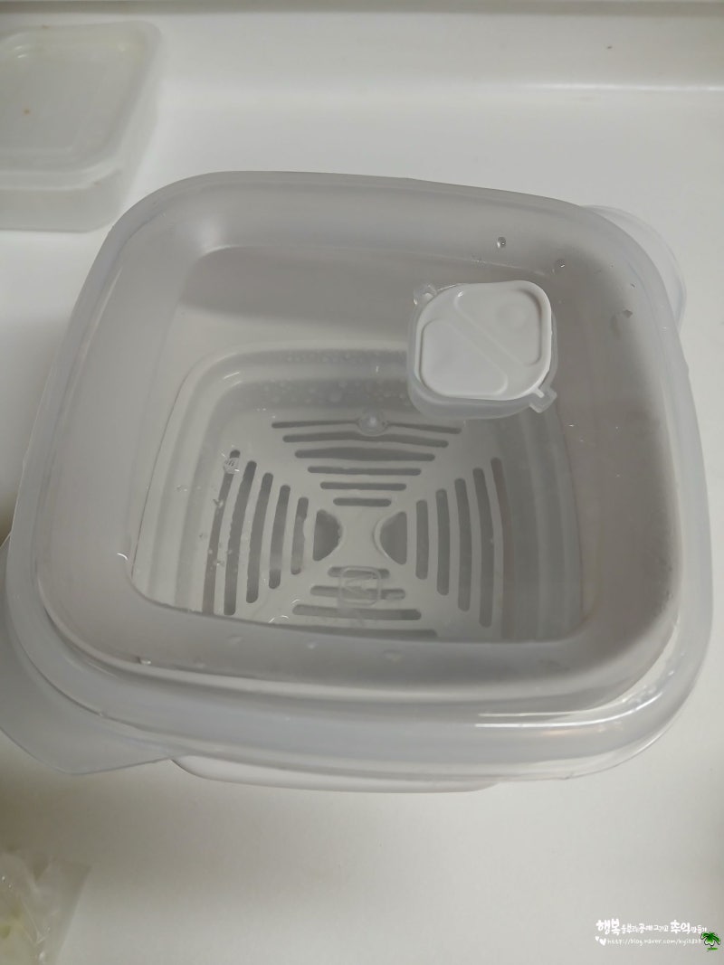 다이소아이템 전자렌지용 찜기 간단히 양배추찌기