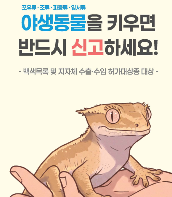  야생동물을 키우면 반드시 신고하세요!
