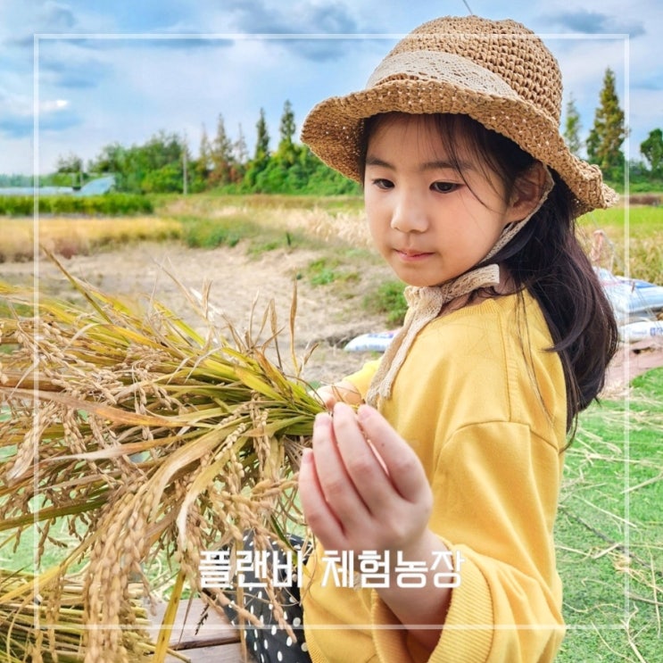  부산 아이와 함께 가볼만한곳 이색 체험 농장 플랜비
