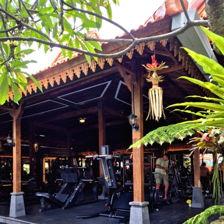  짱구 헬스장 가장 발리다웠던 pucuk bali gym 추천