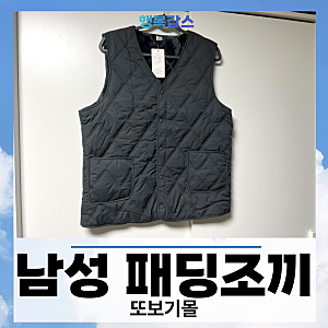 깔끔하고 편하게 입을 수 있는 브이넥 남성 패딩조끼 추천