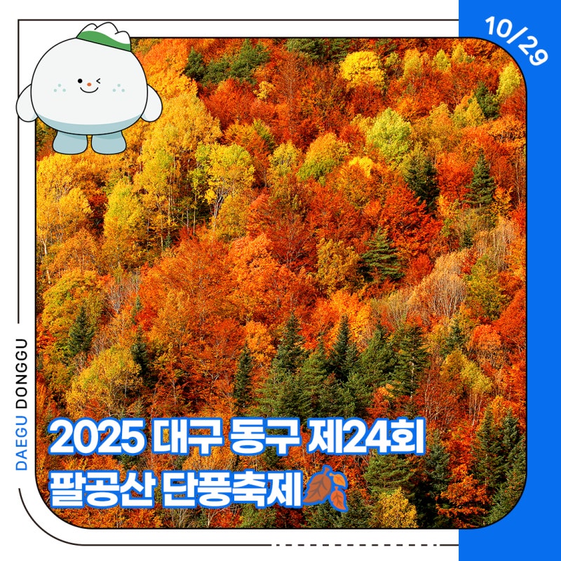 2025 대구 동구 제24회 팔공산 단풍축제