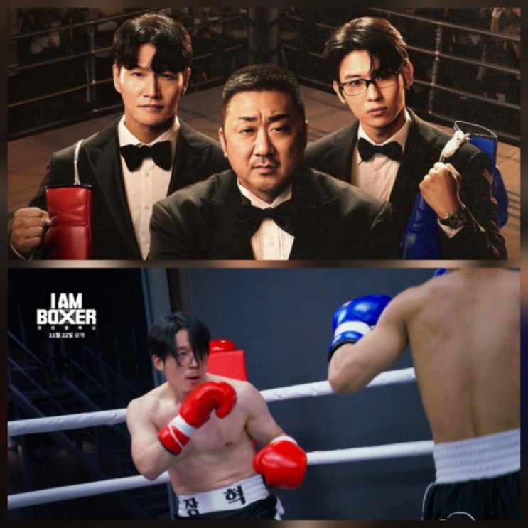 마동석 복싱 예능 출연진 방송시간 첫 방송 총정리