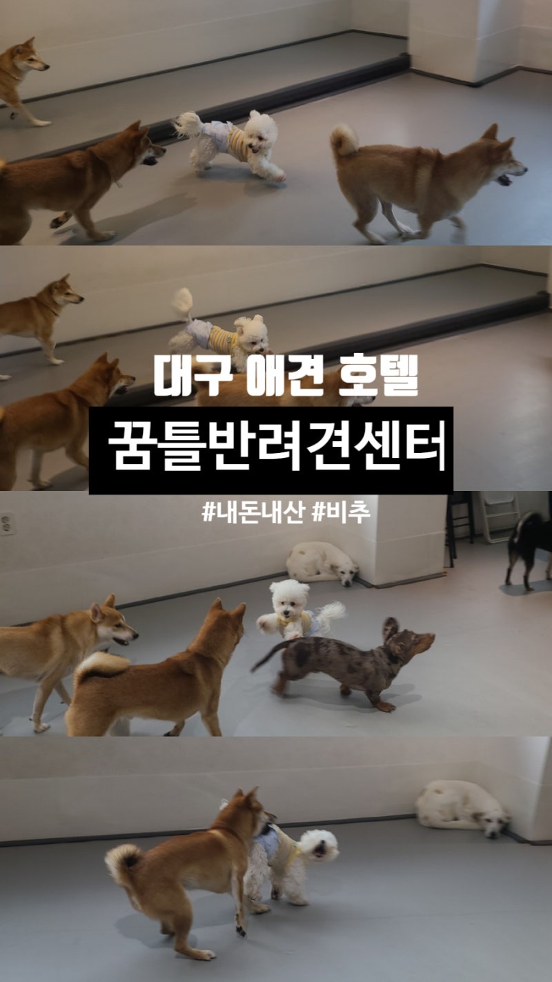 사진 4