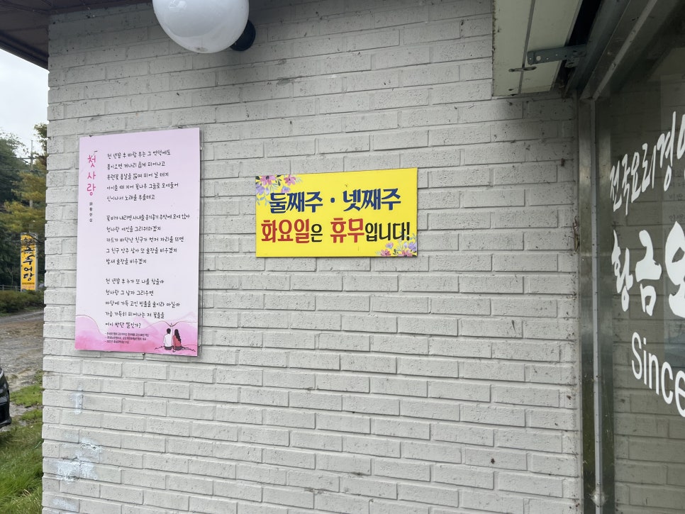 황금오리알 사진 4