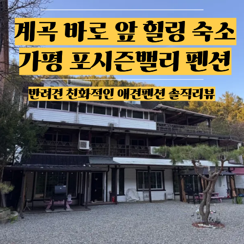 사진 4