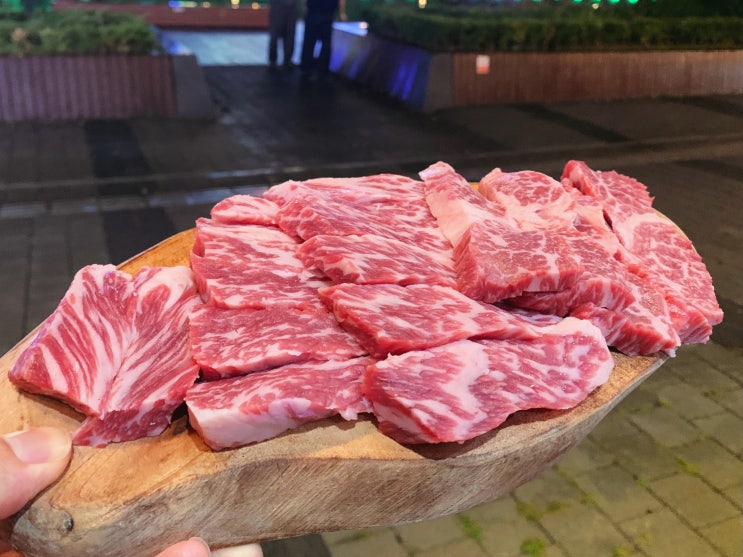  ㅣ인천 청라 맛집ㅣ청라의언덕역 인천 청라 고기 맛집 '청라꽃갈비 본점' 눈꽃살 내돈내산 뭐쩝일 172nd