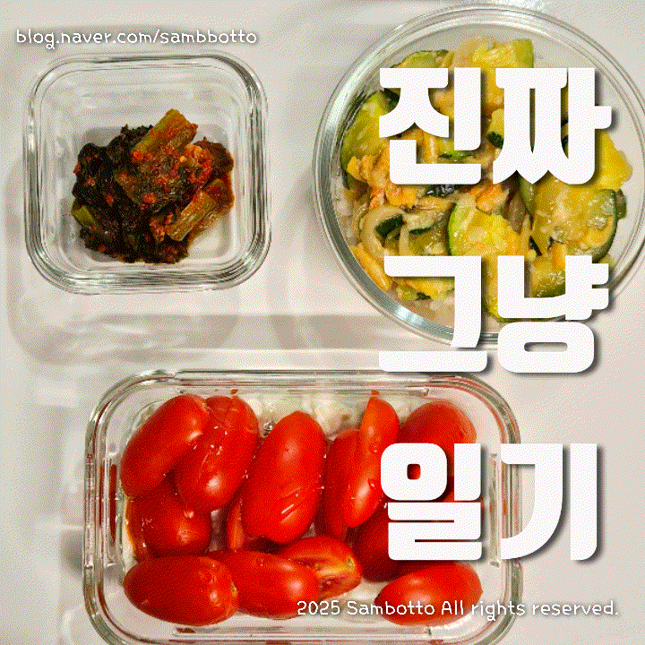  진짜 그냥 일기 | 애호박보리새우 볶음, 올리브영 피부나이 테스트