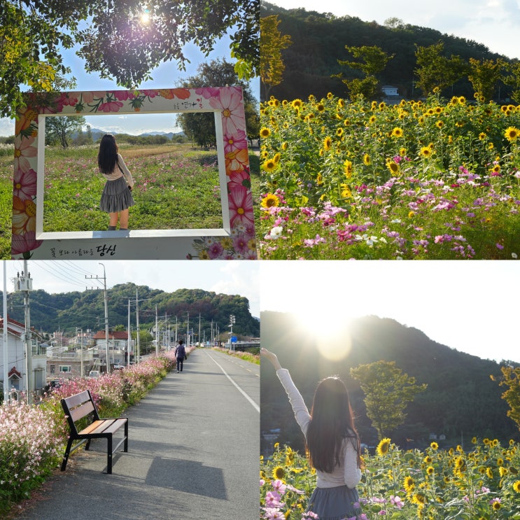  가을 부산 근교 가볼만한곳 경남 여행지 추천 4