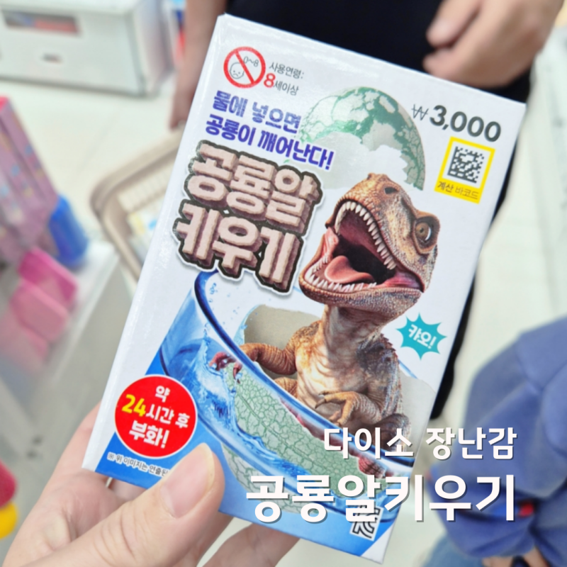 다이소 장난감 물에 넣어 공룡알 키우기