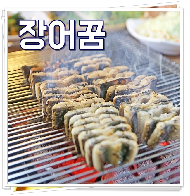 장어꿈 해몽 장어잡는꿈 전기뱀장어꿈 재미난 풀이