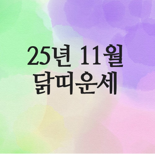  2025년 11월 닭띠 운세 (69년 · 81년 · 93년 · 05년)