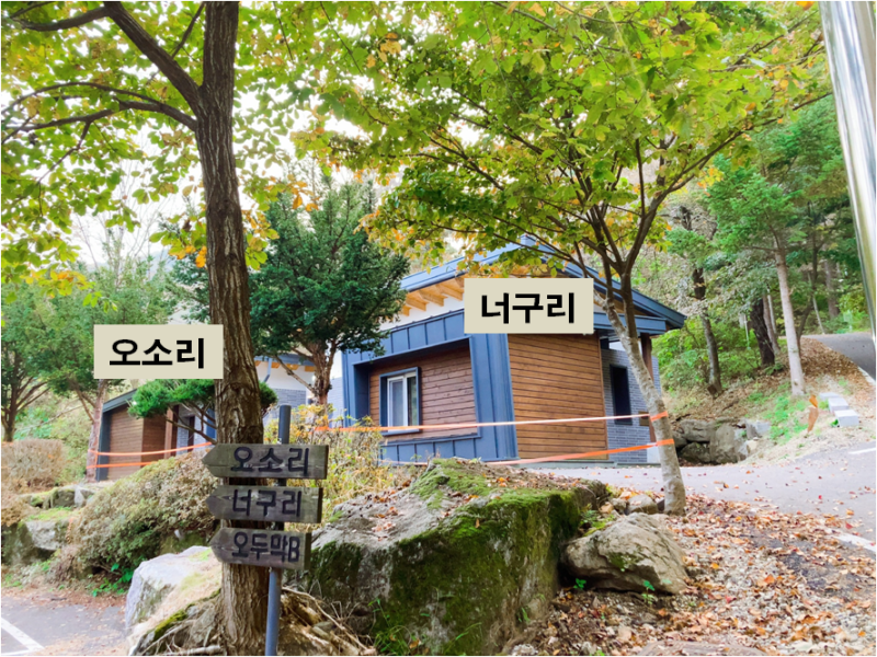 유명산 자연휴양림 신축 숲속의집, 어디가 가장 좋을까?