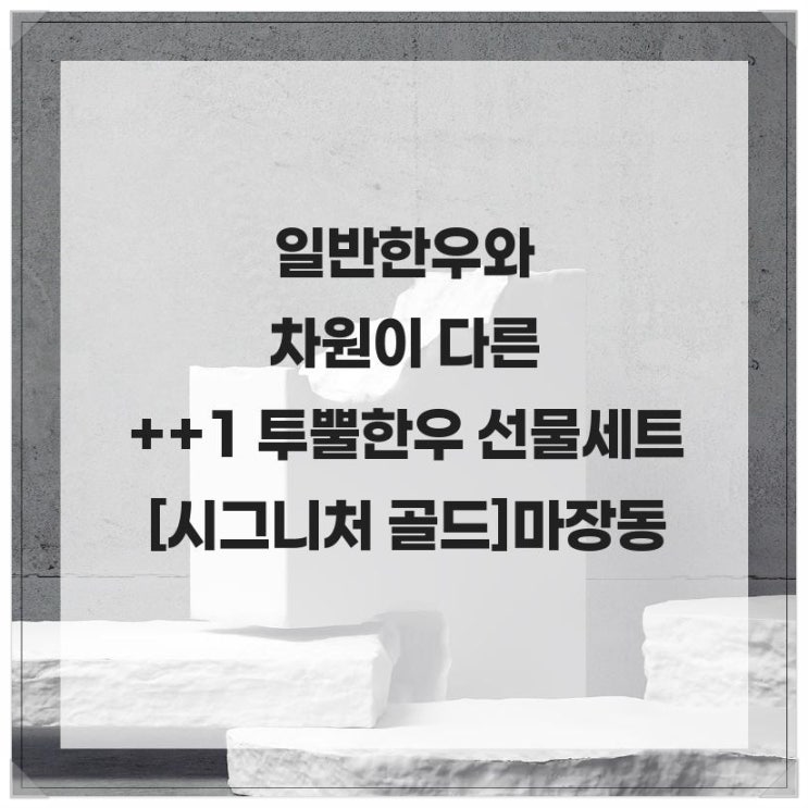  일반 한우와 차원이 다른 ++1 투뿔한우 선물세트 [시그니처 골드] 마장동
