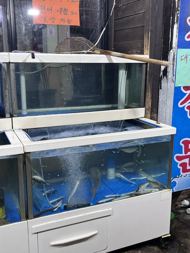 Hwanggeumeojang photo 3