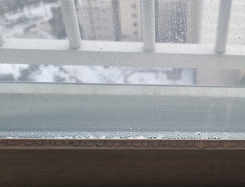 결로와 곰팡이가 생겨버린 샷시 하자 1
