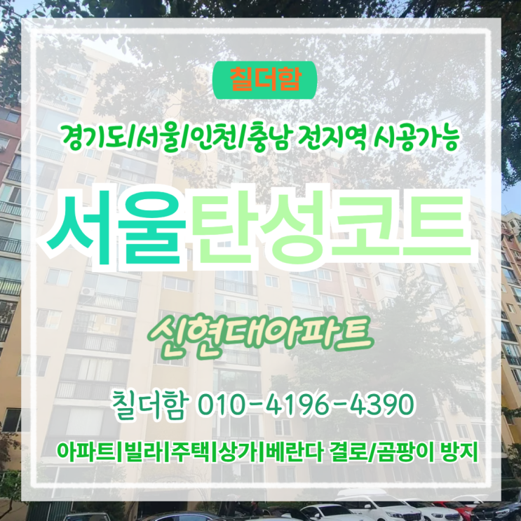  서울탄성코트 강남 압구정 신현대아파트 석고보드 위 곰팡이 원인과 탄성도장 후기