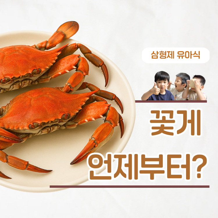 아기 꽃게 언제부터? 꽃게탕 레시피