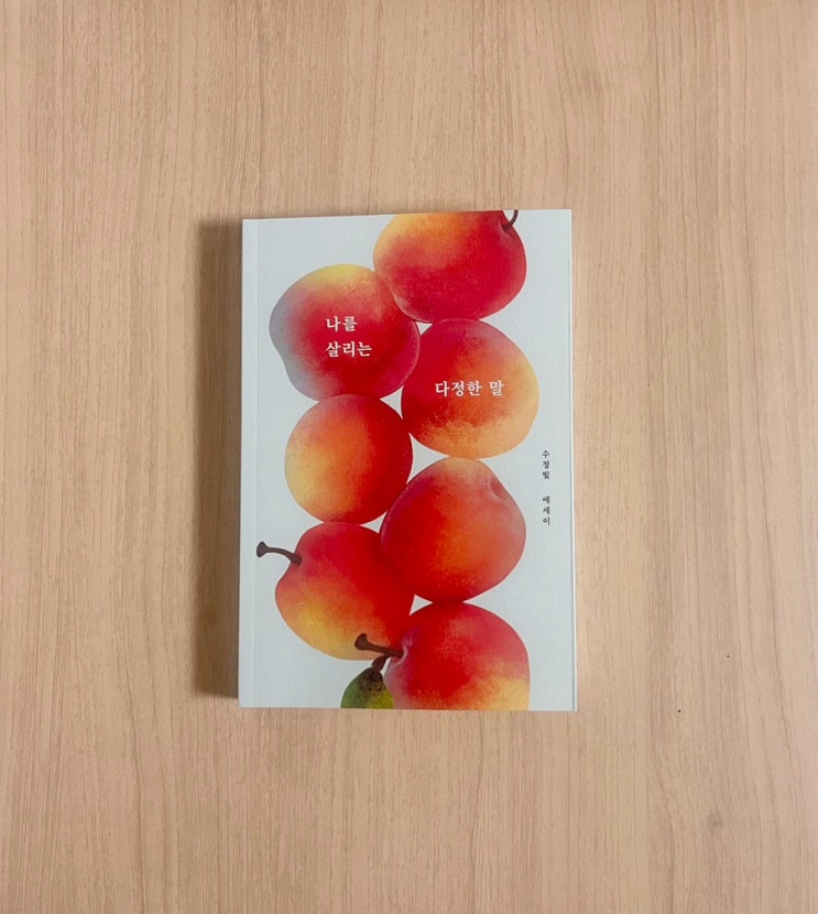  수정 빛 에세이 나를 살리는 다정한 말 서평