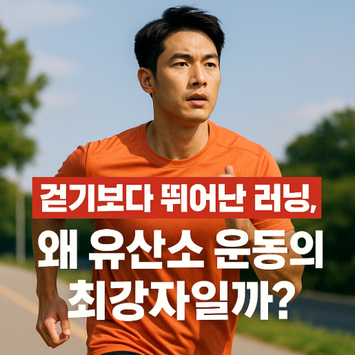 걷기보다 뛰어난 러닝, 왜 유산소 운동의 최강자일까?