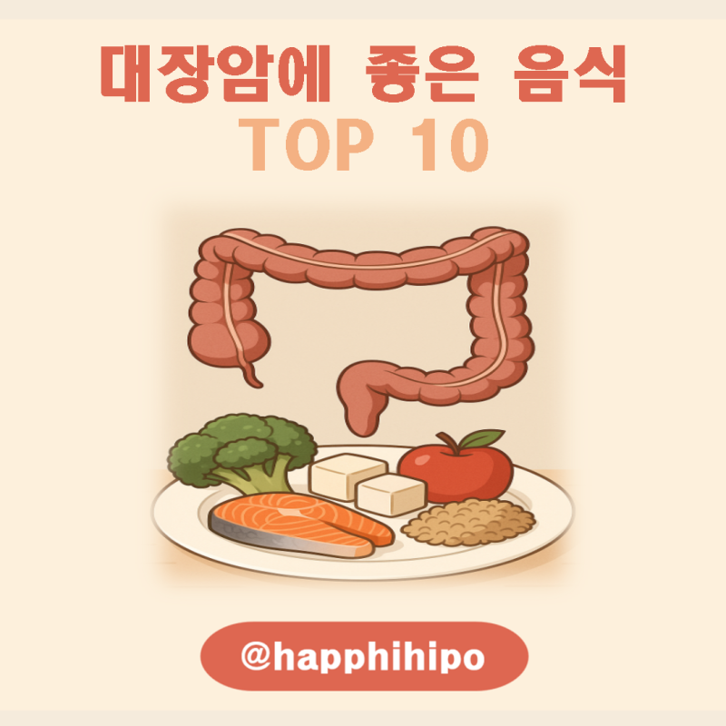 대장암에 좋은 음식 10가지 총정리! 수술 후 식단·좋은 과일·차·영양제·대장암에 나쁜 음식....