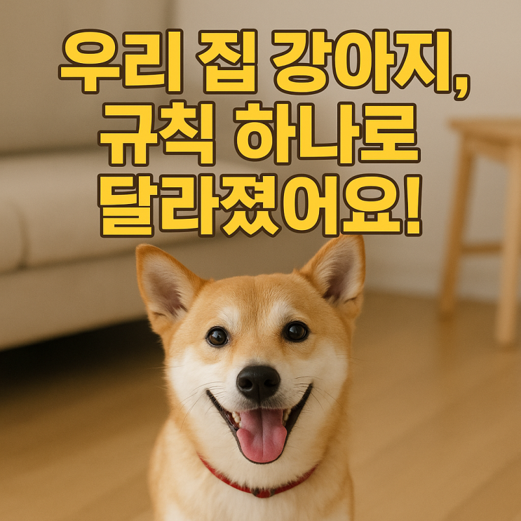  강아지 집안 규칙 훈련법, 행복한 반려생활의 첫걸음!
